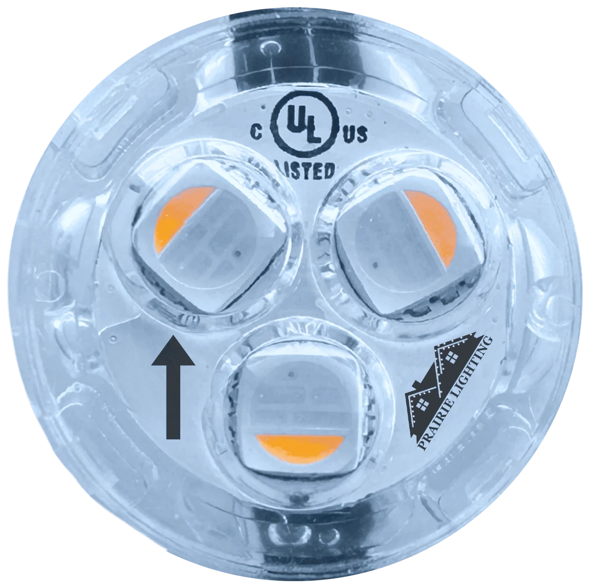 Prairie Lighting Bulb